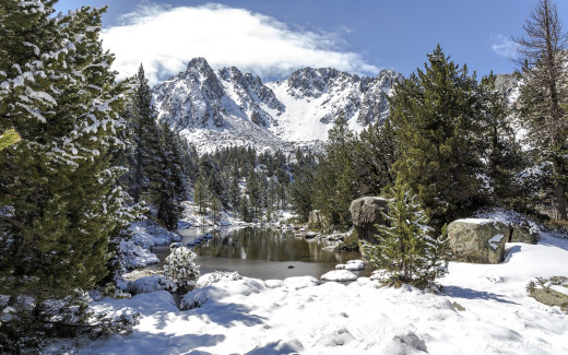 �1765511 �������(a): ����������:1920x1200